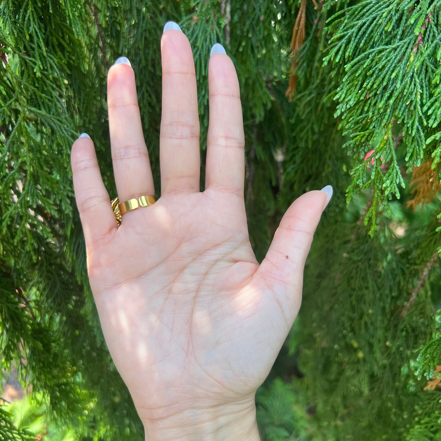 Lovers Eye Victorian Inspired Ring